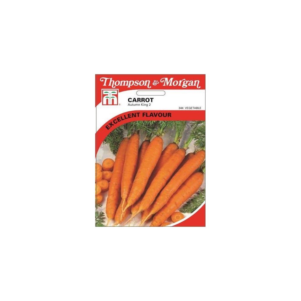 Carrot Autumn King 2 Seeds