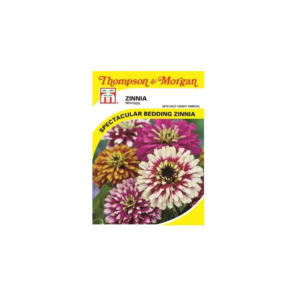 Zinnia Whirlygig Mixed Seeds