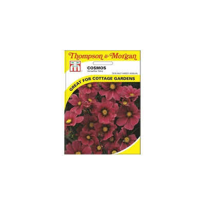Cosmos Versailles Tetra Seeds