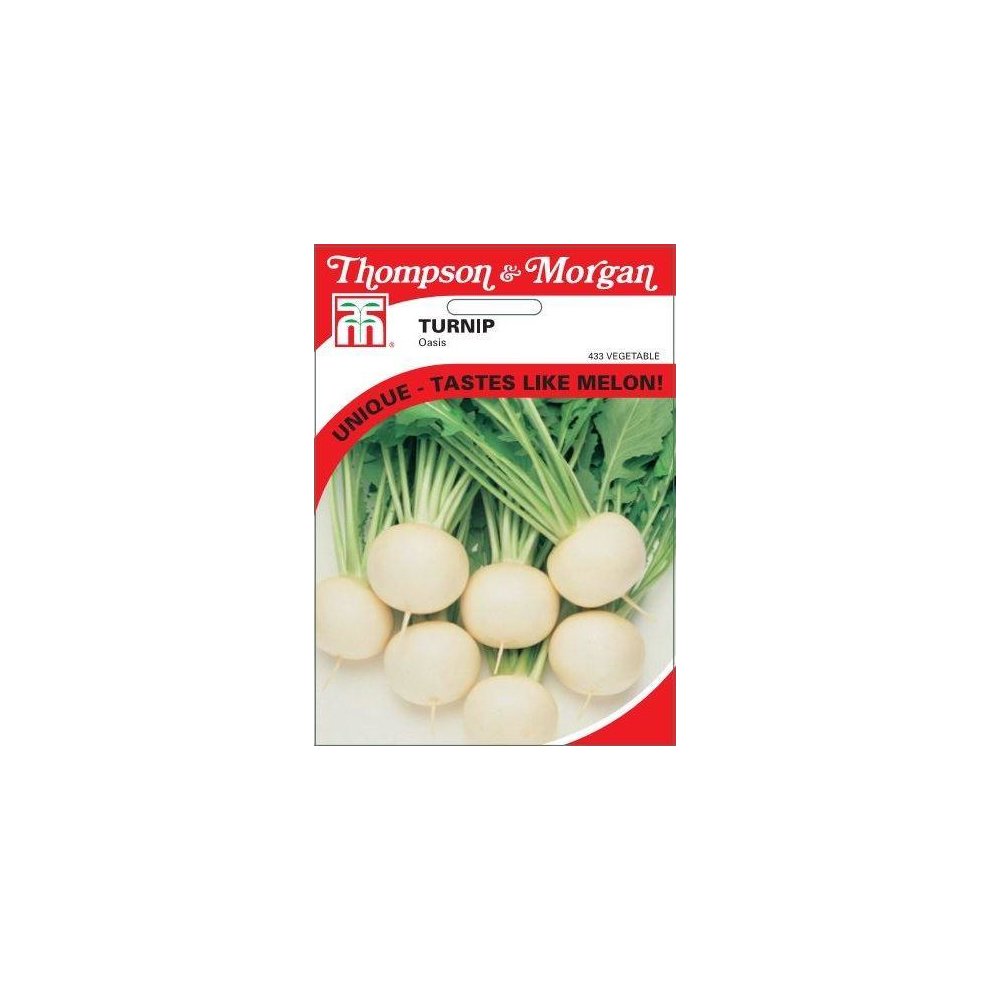 Turnip Oasis Seeds