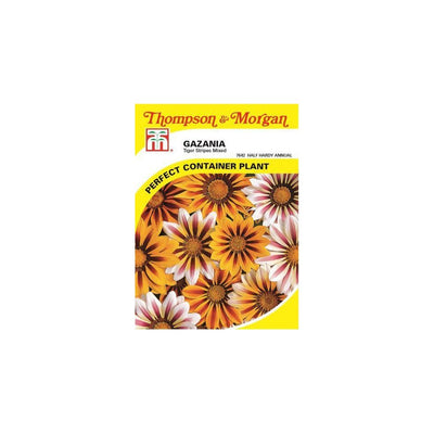 Gazania Tiger Stripes Mixed Seeds
