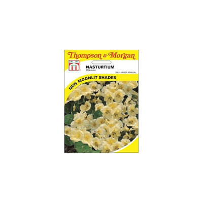 Nasturtium Milkmaid Seeds