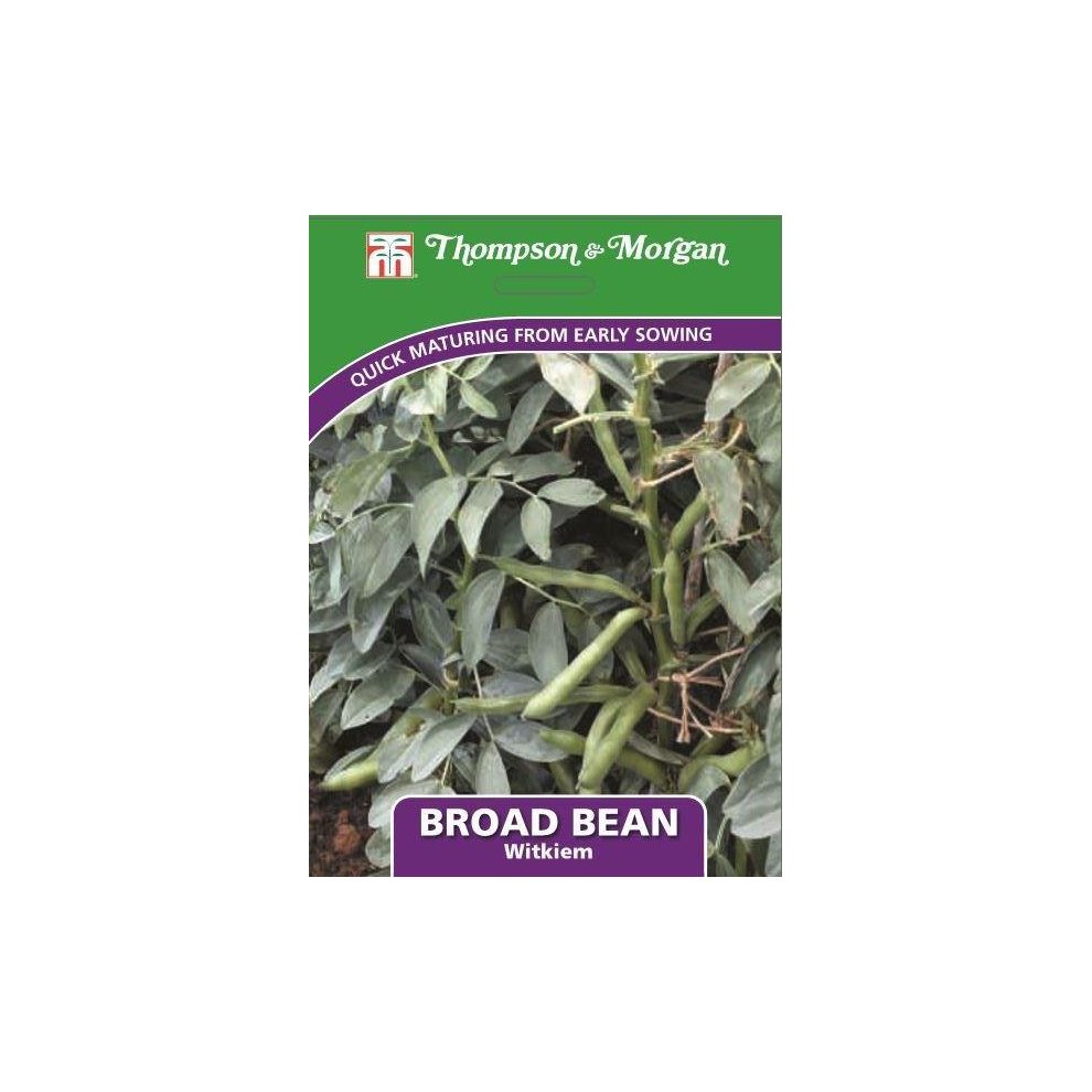 Broad Bean Witkiem Seeds