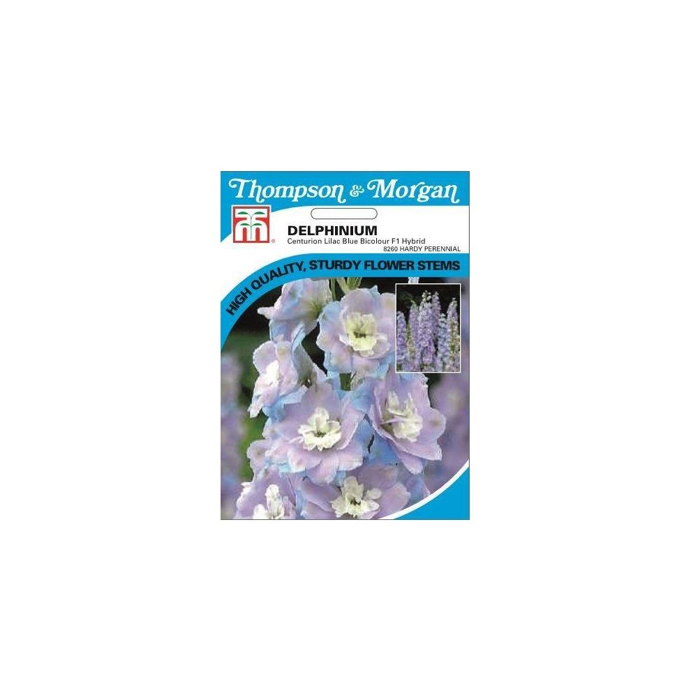Delphinium Centurion Lilac Blue Bicolour 12 Seeds