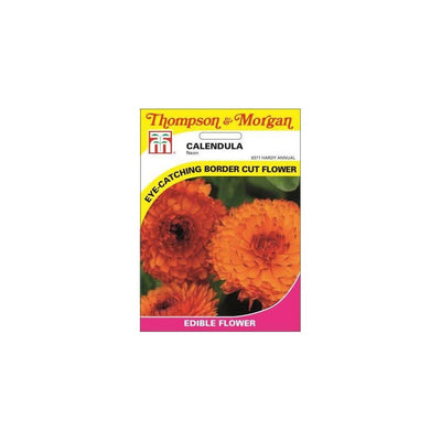Calendula Neon Seeds
