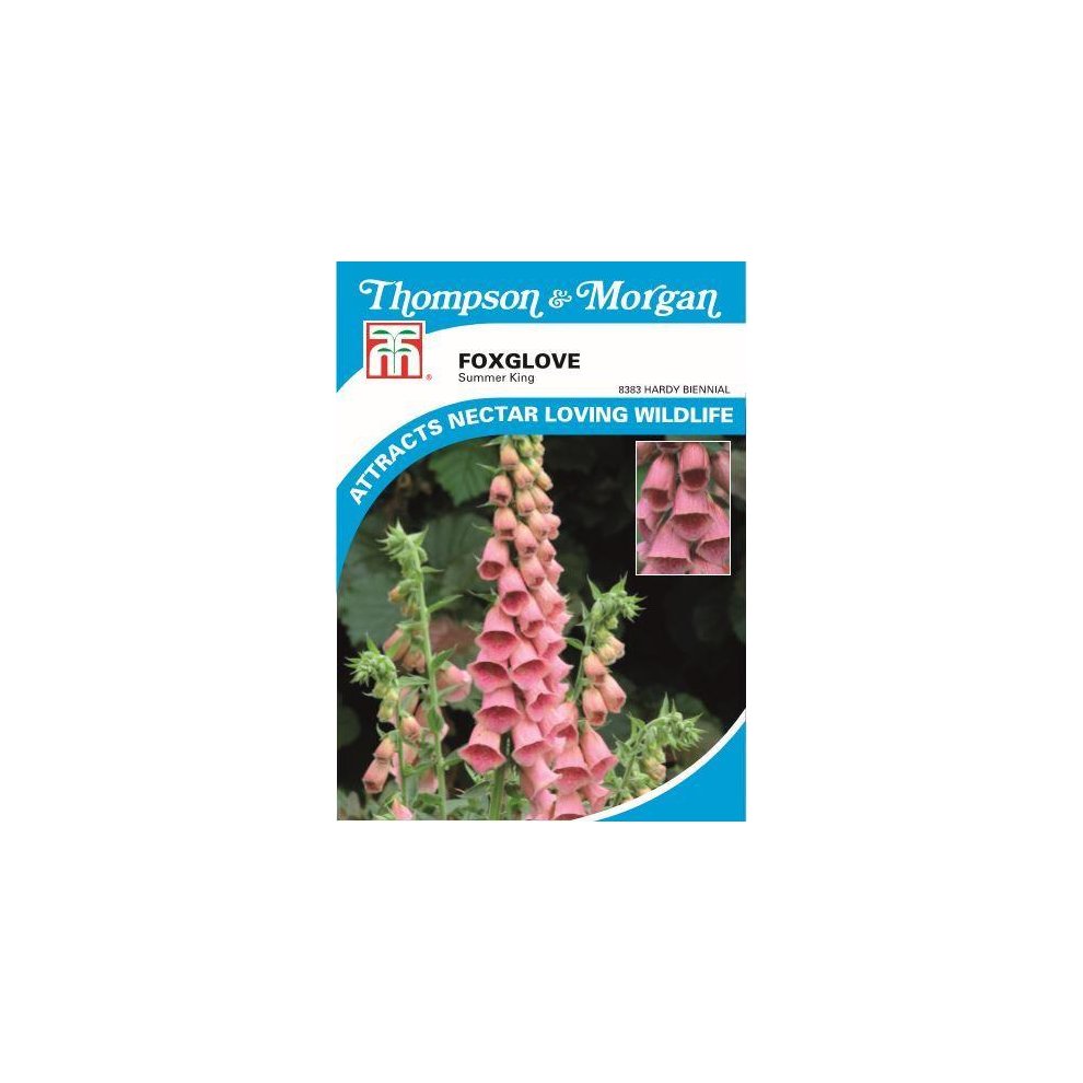 Foxglove Summer King Seeds