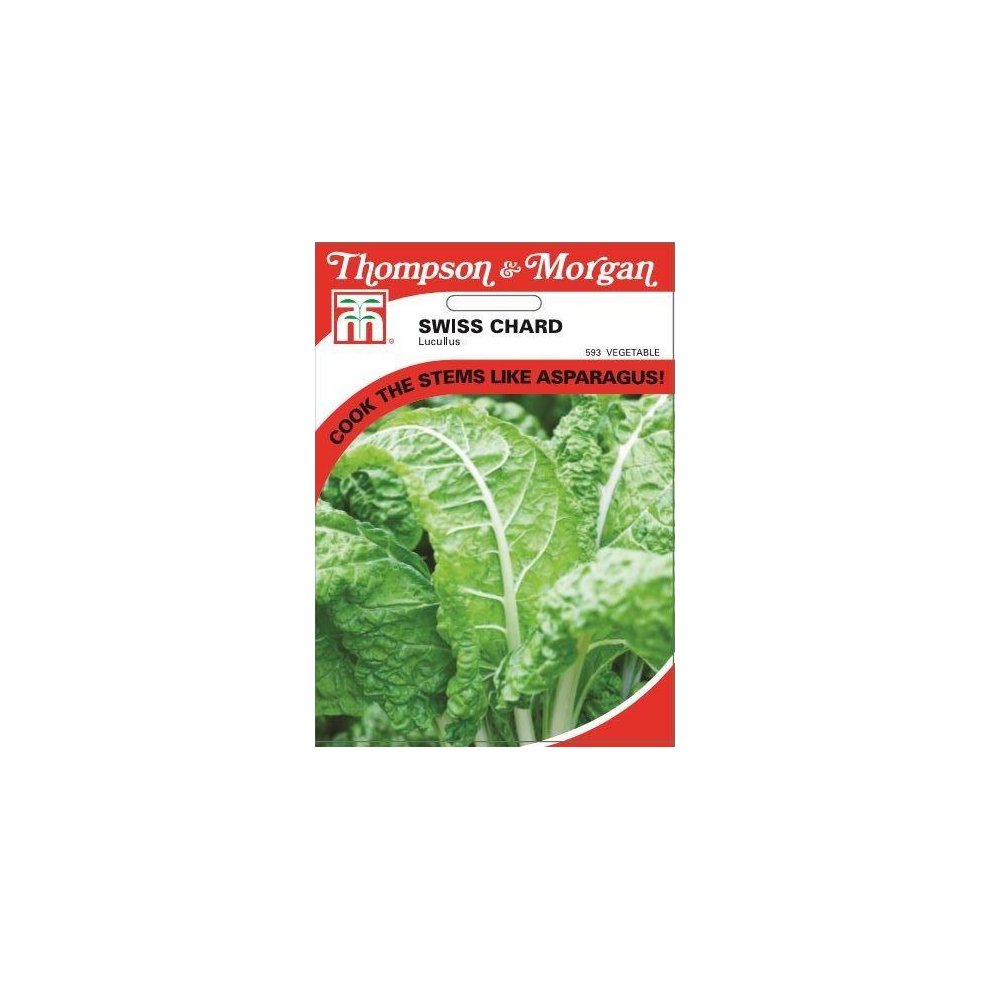 Swiss Chard Lucullus Seeds