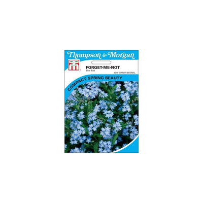 Forget-Me-Not Blue Ball Myosotis Seeds