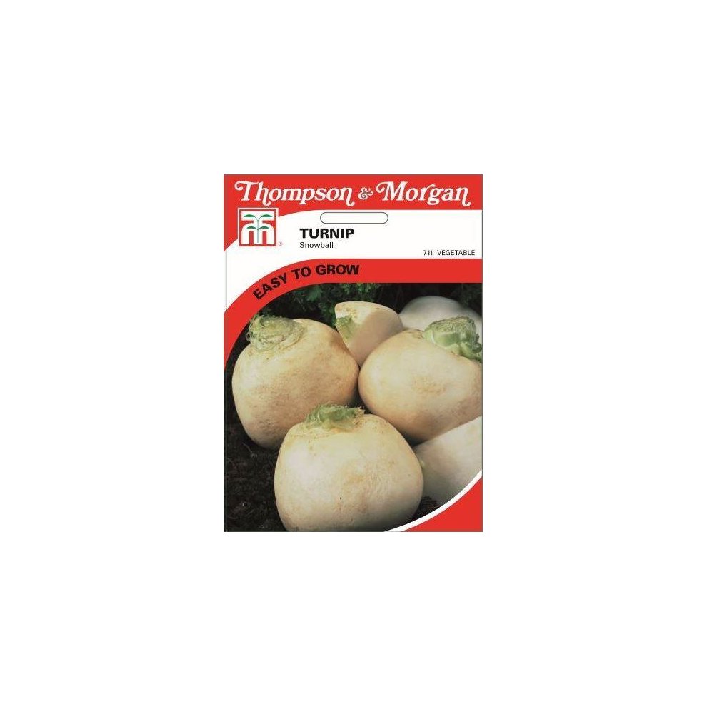 Turnip Snowball Seeds
