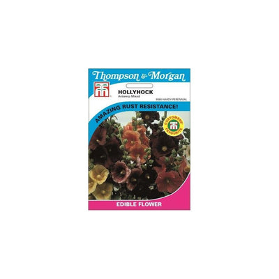 Hollyhock Antwerp Mixed Seeds