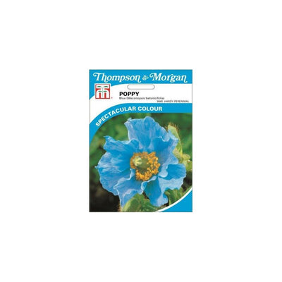 Poppy Blue Meconopsis 50 Seed