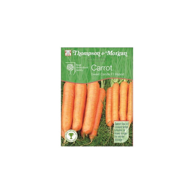 Carrot Sweet Candle F1 Hybrid Seeds