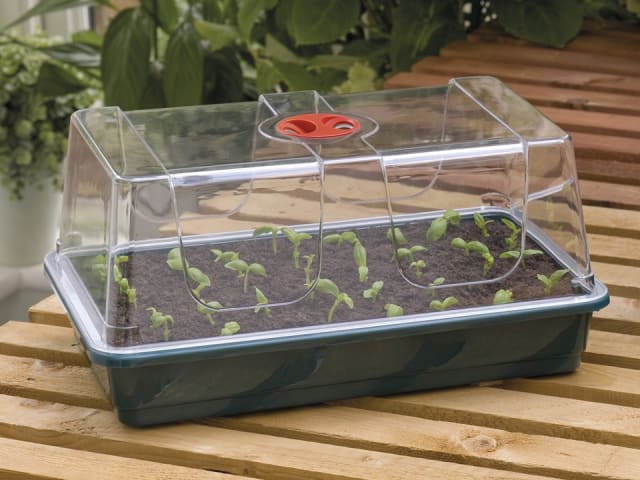 Garland High Dome Propagator Large G19