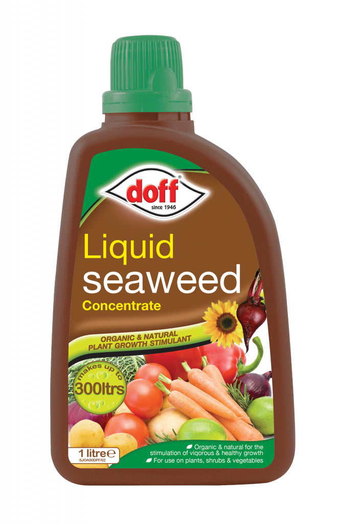 'Liquid Seaweed Concentrated Multi Purpose Feed 1L'