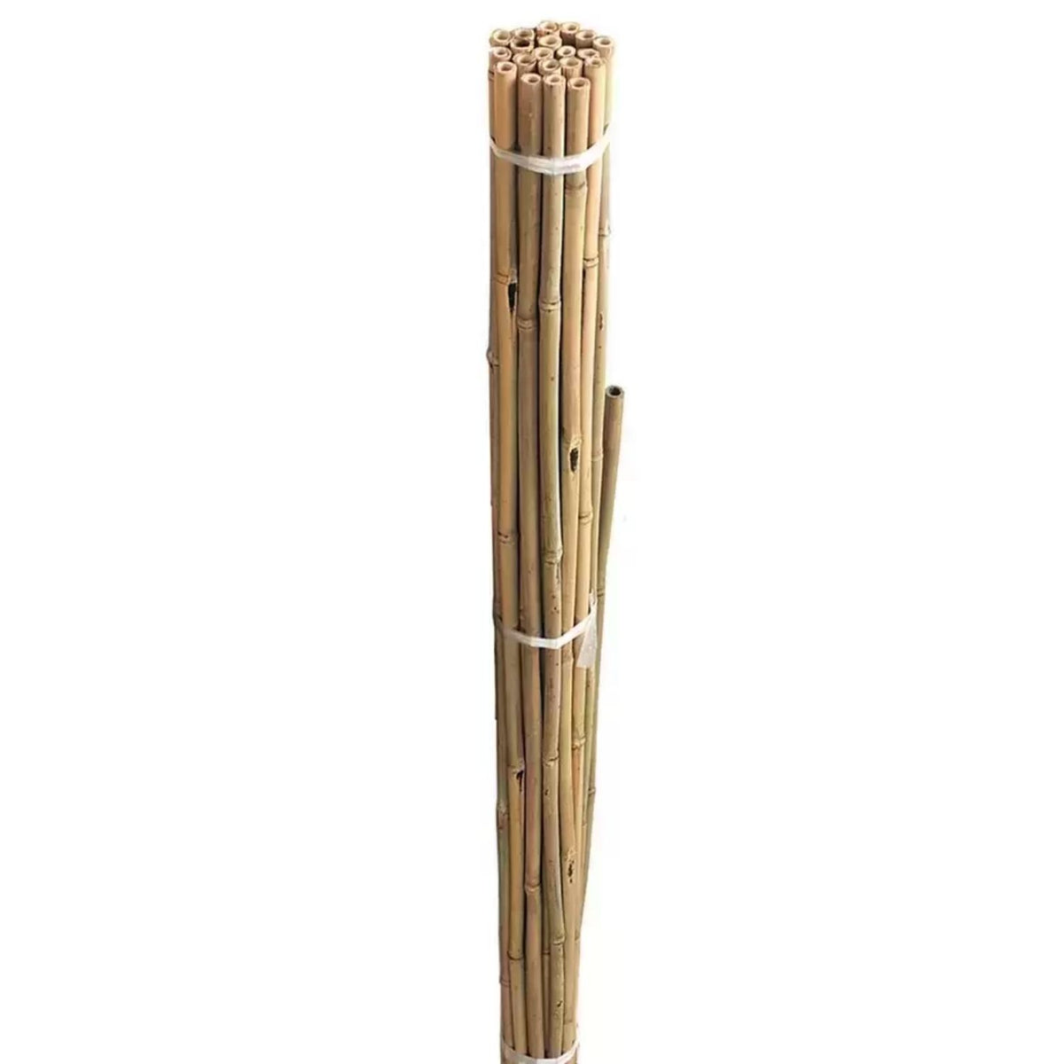 Gardman Bamboo Canes 1.2m Pack of 20 08071