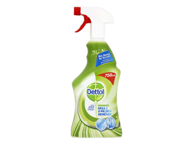 Dettol Mould & Mildew Remover 750ml