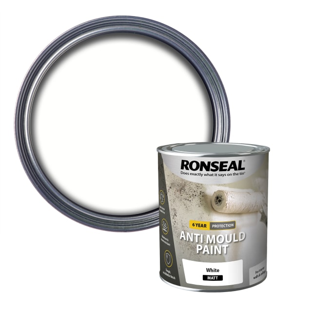 Ronseal 6 Year Anti Mould Paint White Matt 750ml