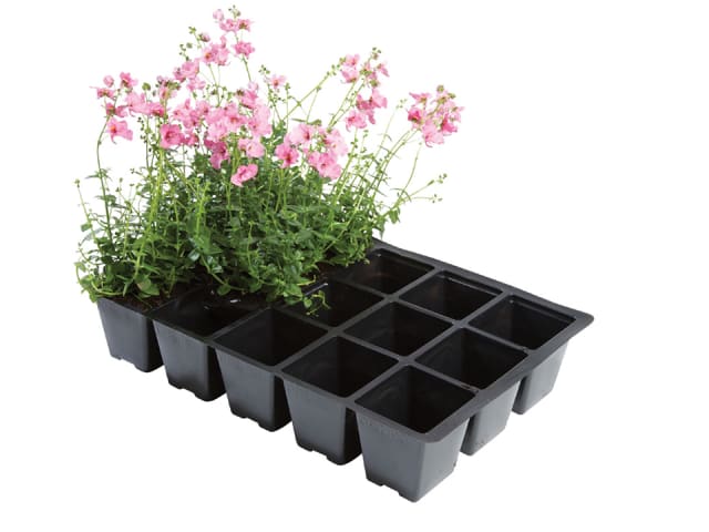 Worth Gardening 15 Cell Inserts x 5 W0010