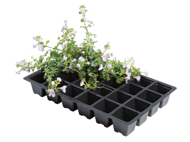 Worth Gardening 24 Cell Inserts x 5 W0014