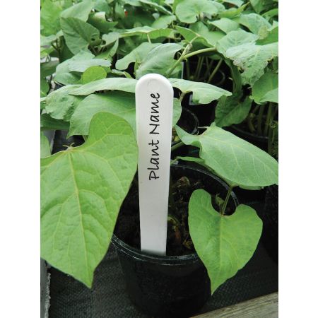 Homehard Plant Labels White 5in x 50 PL5