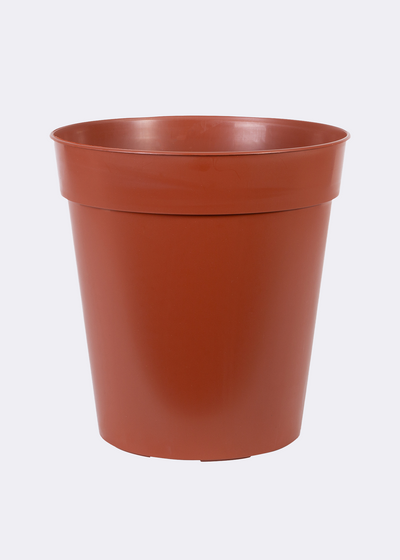 Ward Plastic Flower Pot 7.6cm GN022