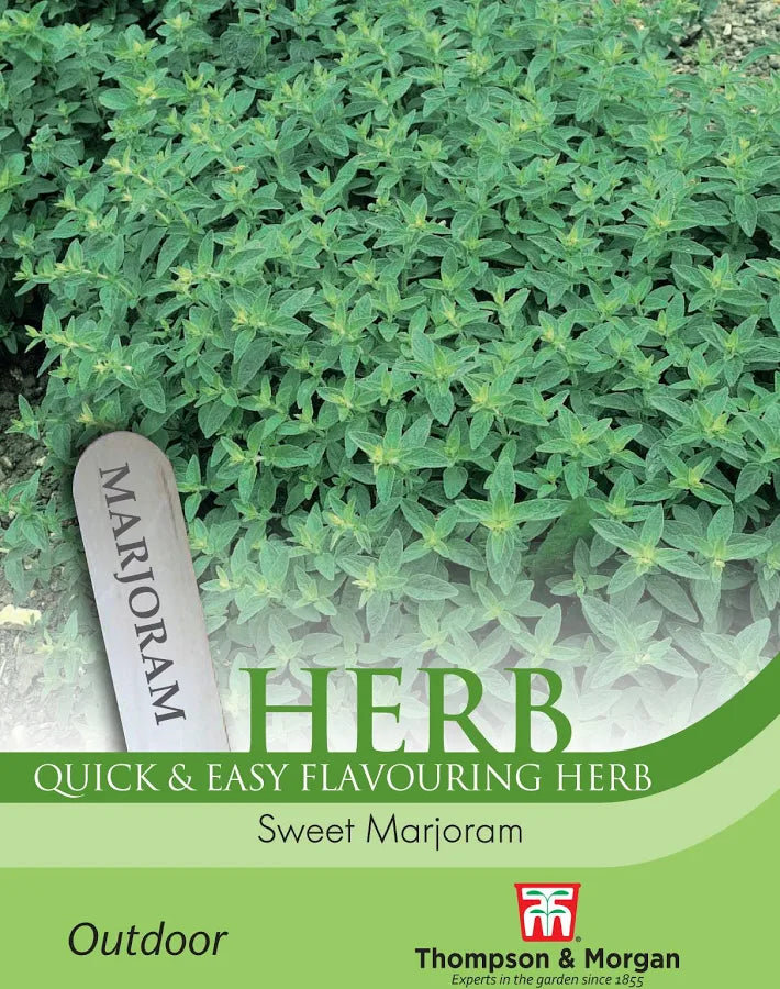 Thompson & Morgan Sweet Marjoram herb seed packet front showing marjoram plants