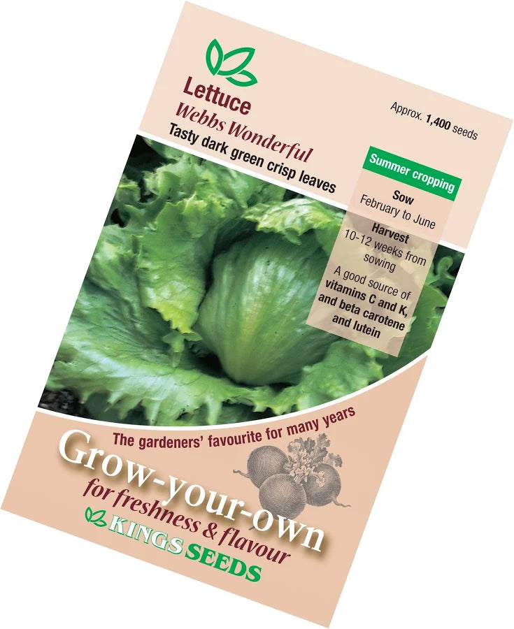 Angled view of Kings Seeds Webbs Wonderful lettuce seed packet showing approx. 1,400 seeds