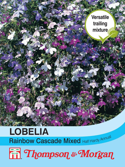 Thompson & Morgan Lobelia Rainbow Cascade Mixed seed packet showing trailing purple, pink, white and lilac flowers