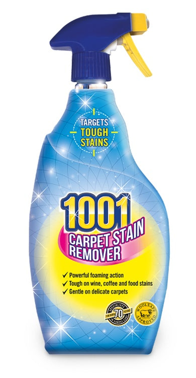 1001 Carpet Stain Remover 500ml 3440-1