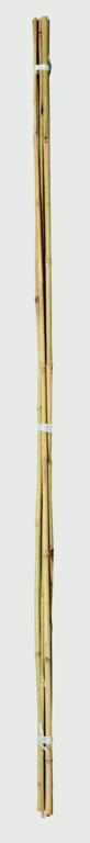 Ambassador Bamboo Canes 4ft Pack Of 20