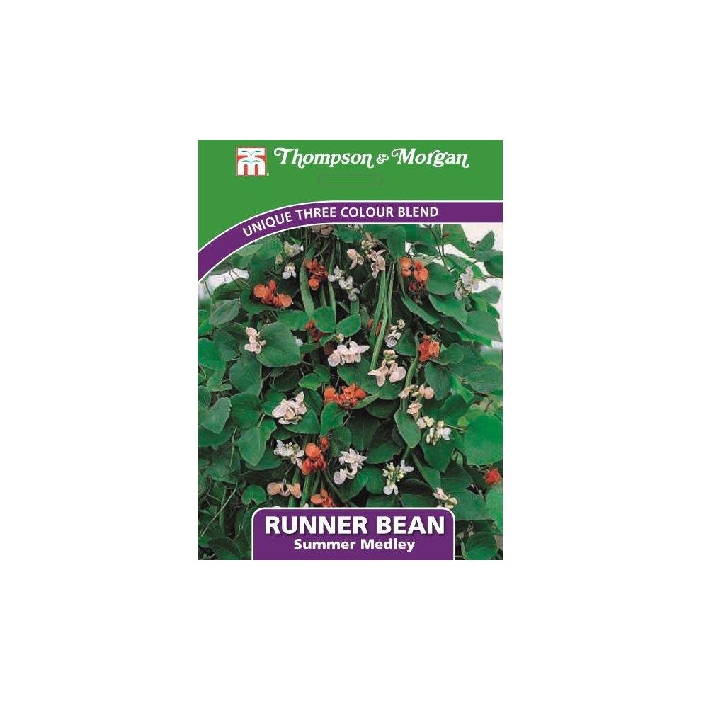 Runner Bean Summer Medley Seeds