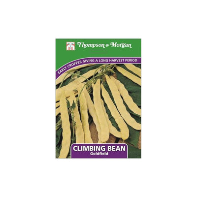 Climbing Bean Goldfield Seeds