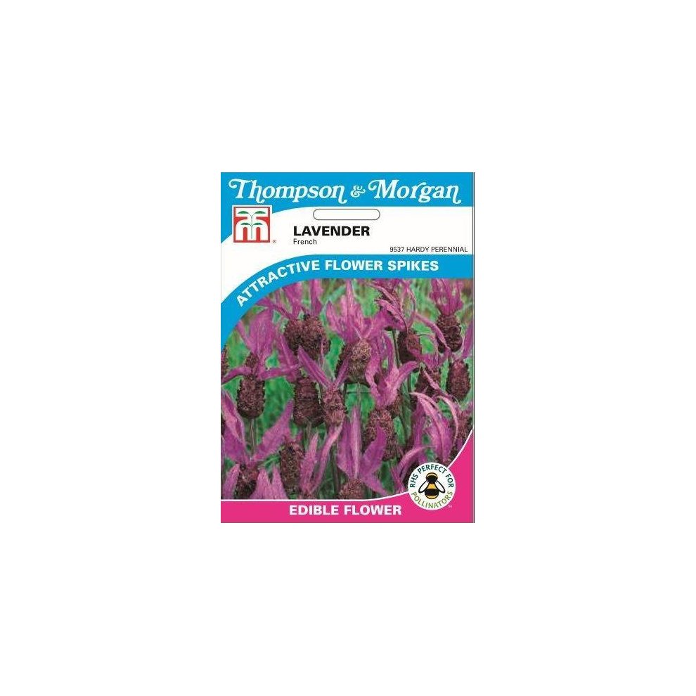 Lavender French Seeds