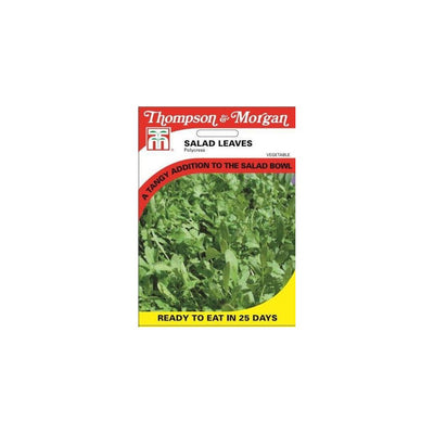Salad Leaves Polycress Seeds
