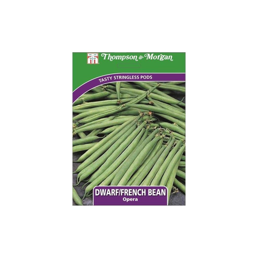 Dwarf Bean Opera Seeds