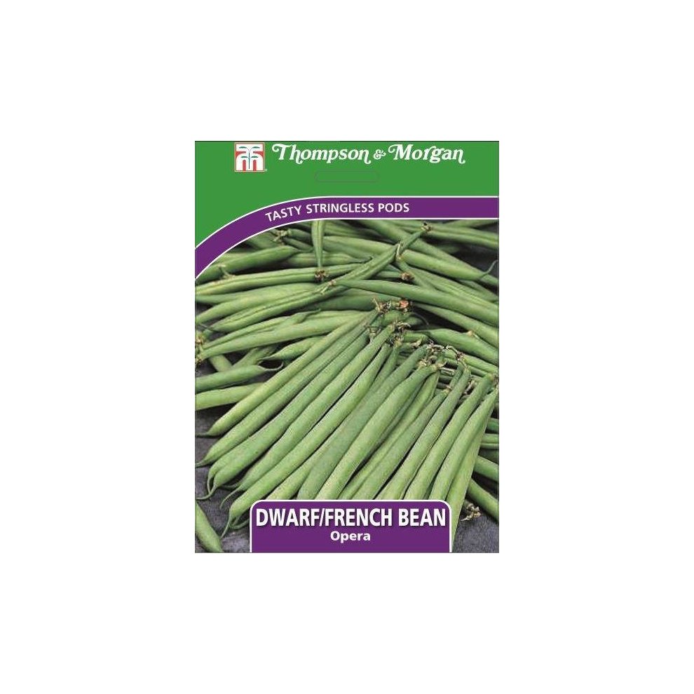 Thompson & Morgan - Vegetables - Dwarf Bean Opera - 75 Seed