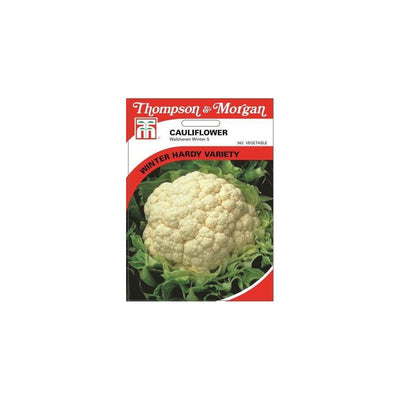 Cauliflower Walcheren Winter 5 Seeds