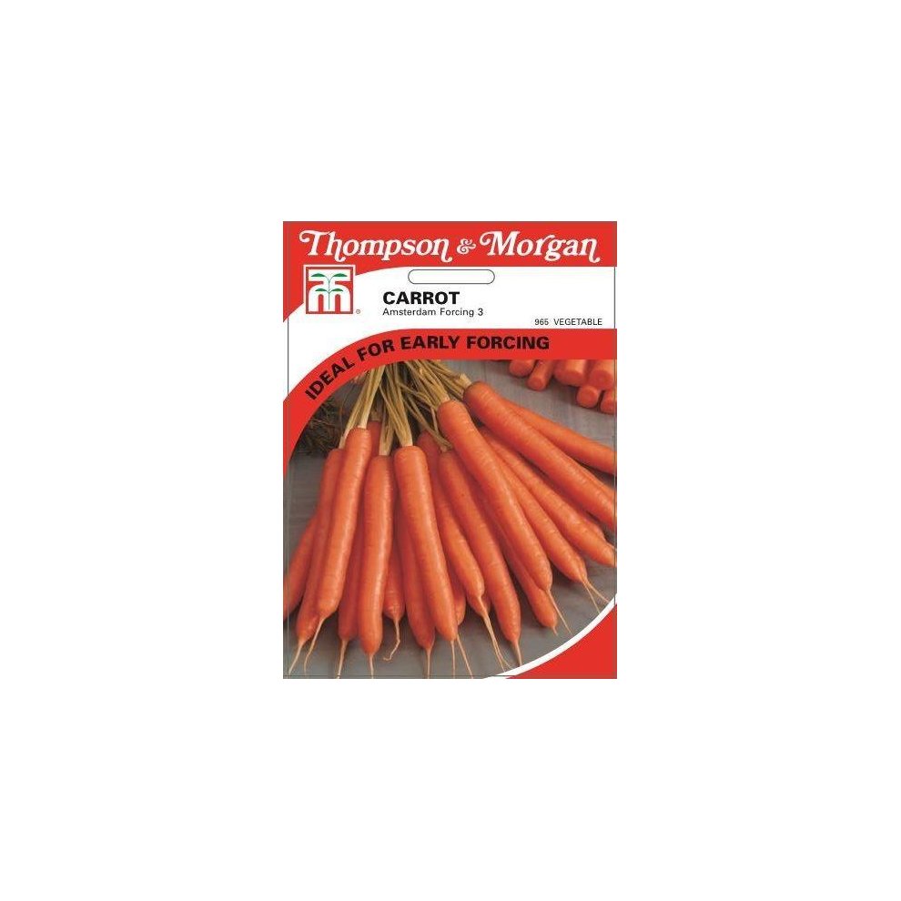 Thompson & Morgan - Vegetables - Carrot Amsterdam Forcing 3 - 2000 Seed