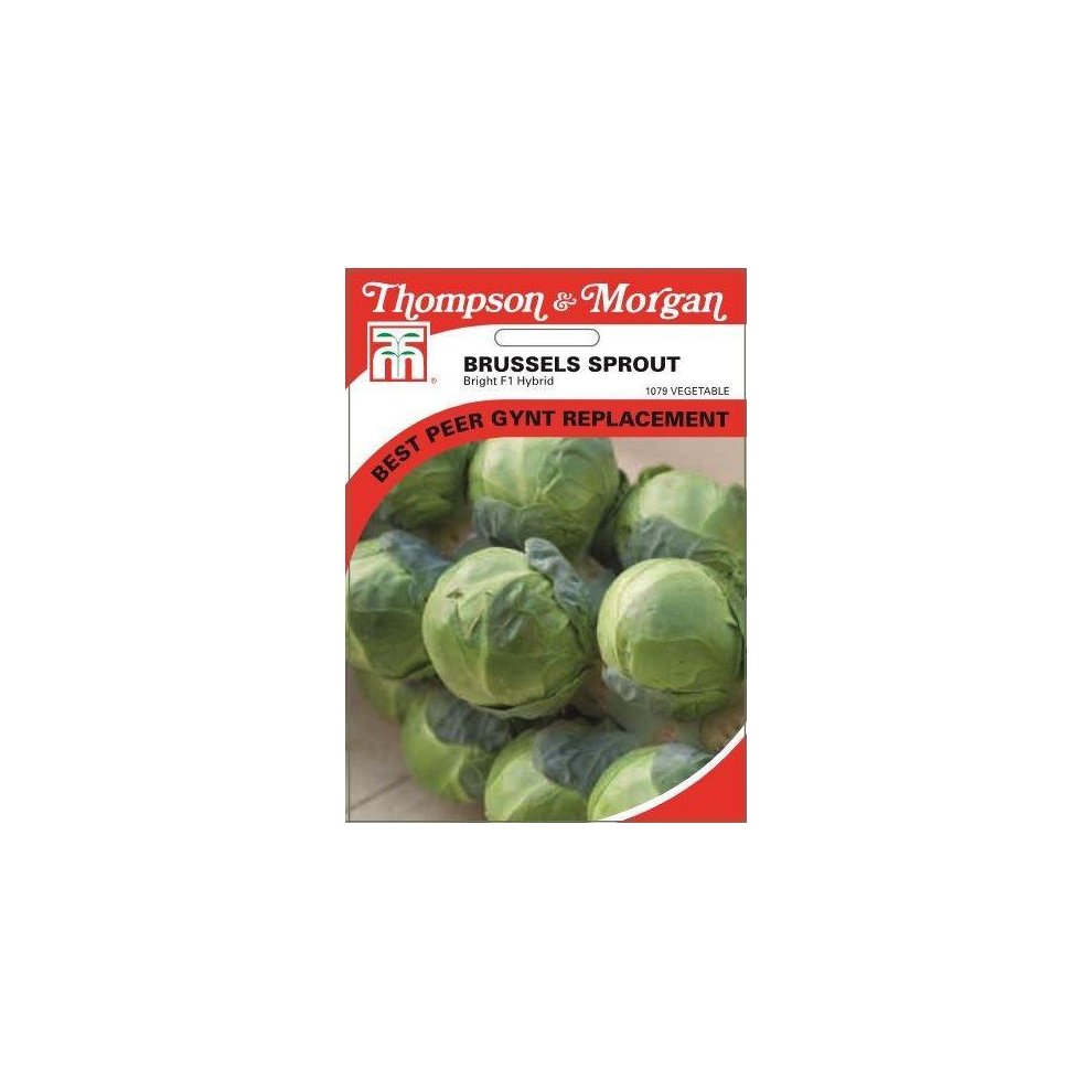 Brussels Sprout Bright F1 Hybrid Seeds