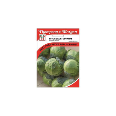Brussels Sprout Bright F1 Hybrid Seeds