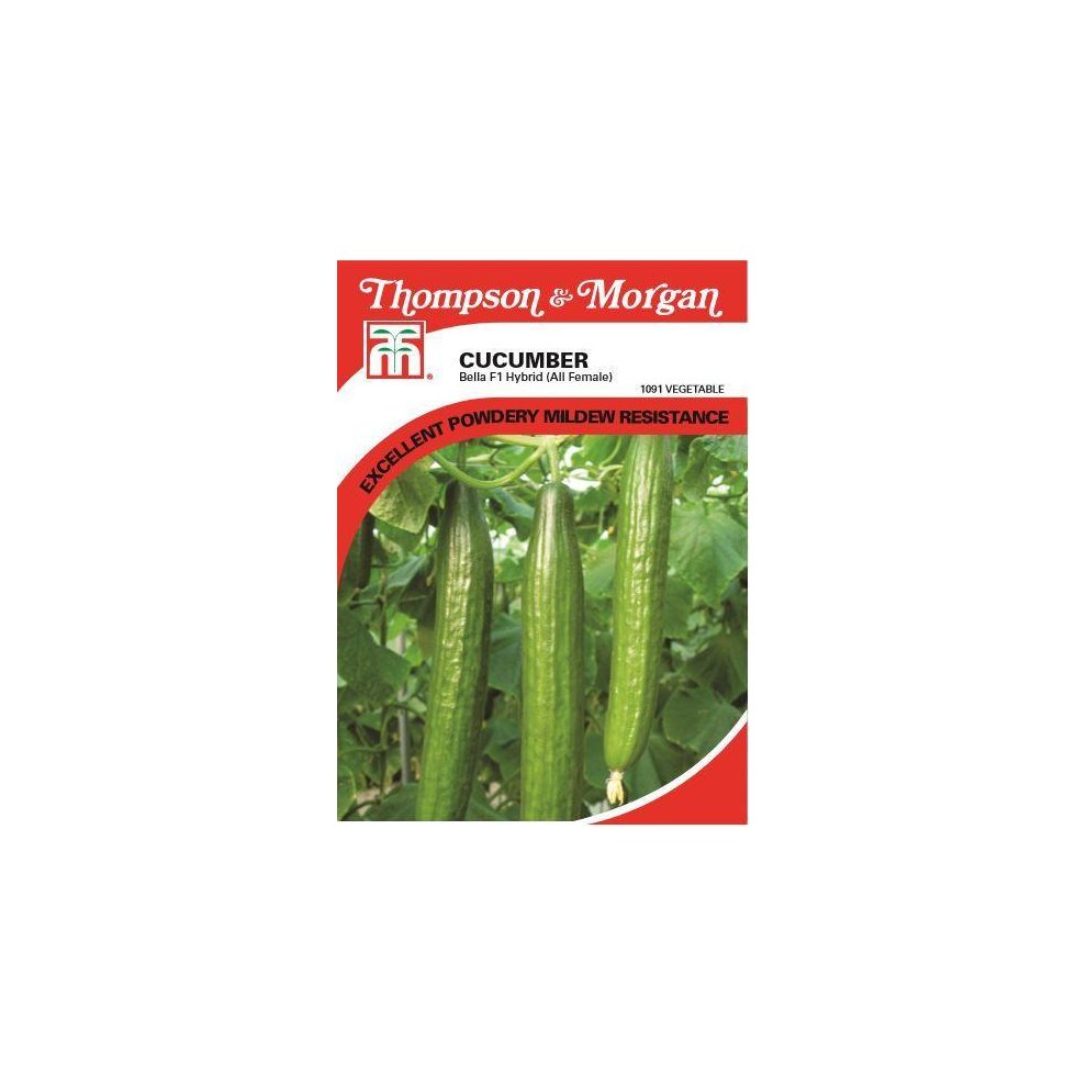 Thompson & Morgan - Vegetables - Cucumber Bella - 4 Seed