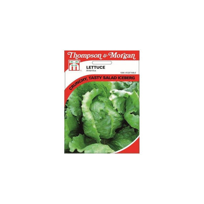Lettuce Antartica Seeds
