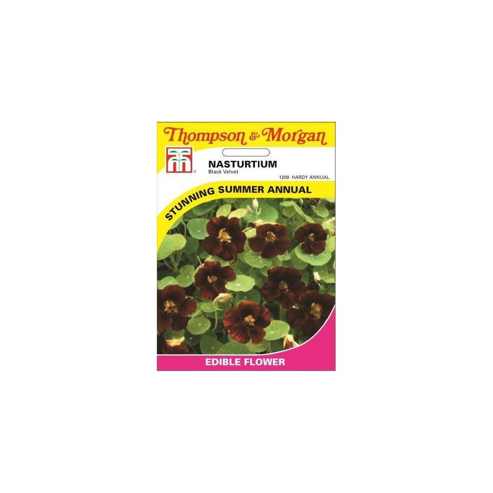 Nasturtium Black Velvet Seeds