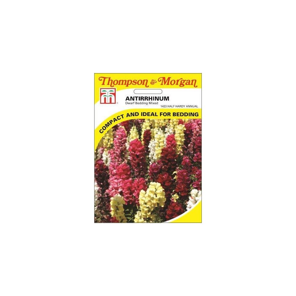 Antirrhinum Dwarf Bedding Mixed Seeds