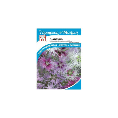 Thompson & Morgan Dianthus Rainbow Loveliness Improved Mixed Seeds 30