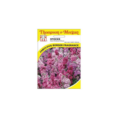 Stocks Brompton Mixed Seeds