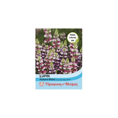 Thompson & Morgan Lupin Avalune Mixed Seeds 20