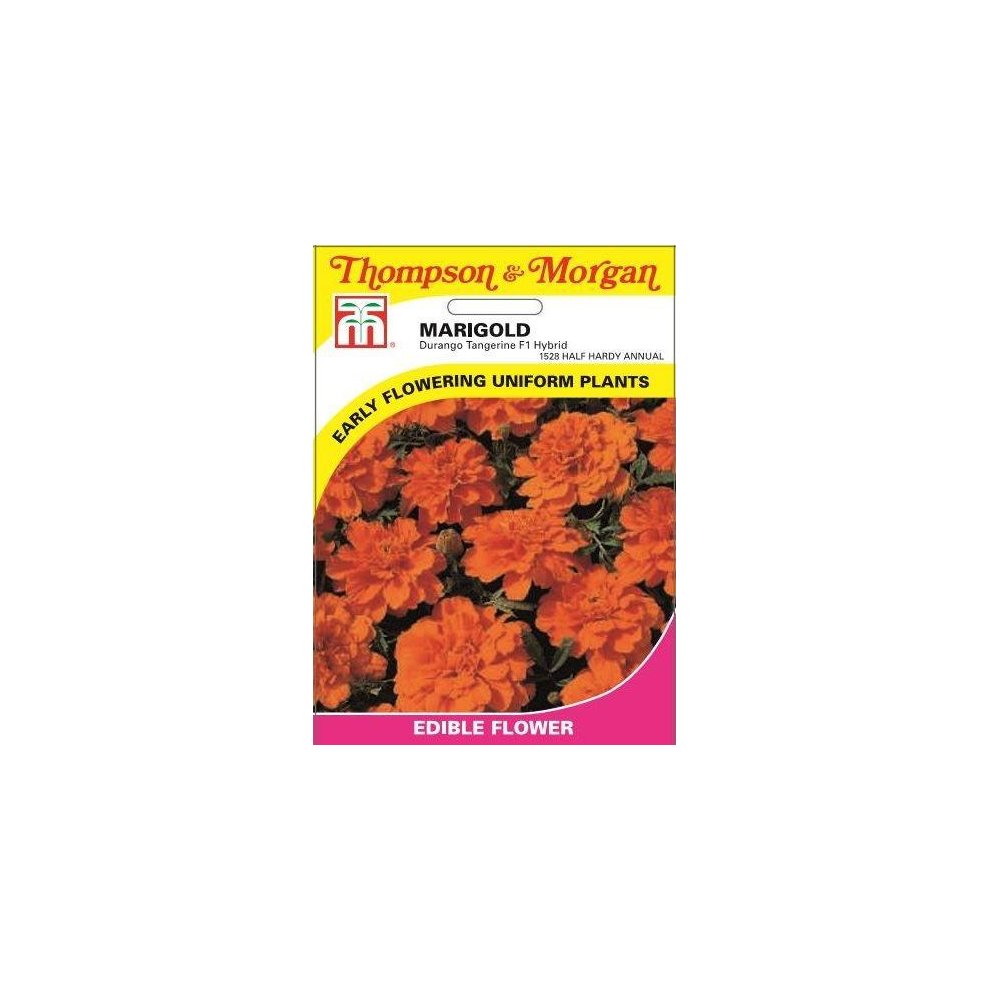 Marigold Durango Tangerine F1 Hybrid Seeds