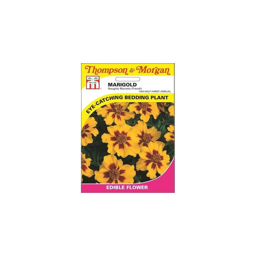 Marigold Naughty Marietta French Seeds