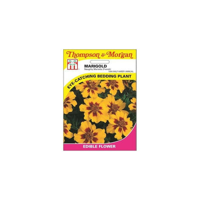Marigold Naughty Marietta French Seeds